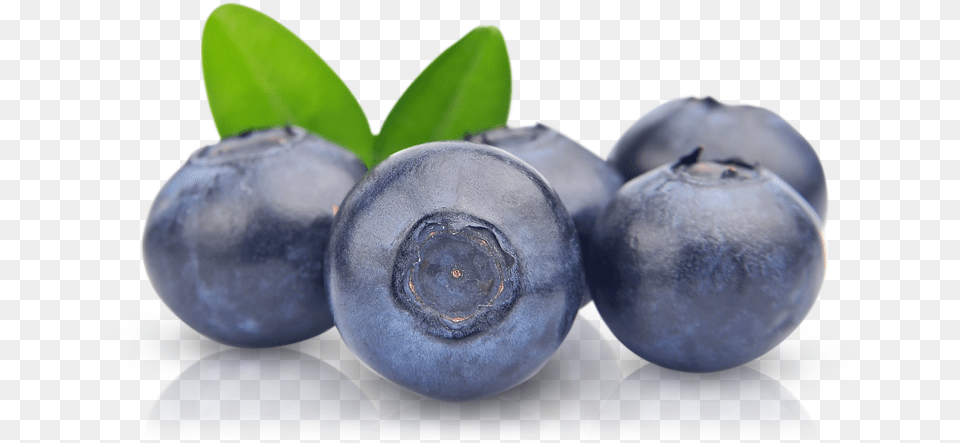 Blueberry Pic Transparent Background Blueberry, Berry, Food, Fruit, Plant Free Png Download