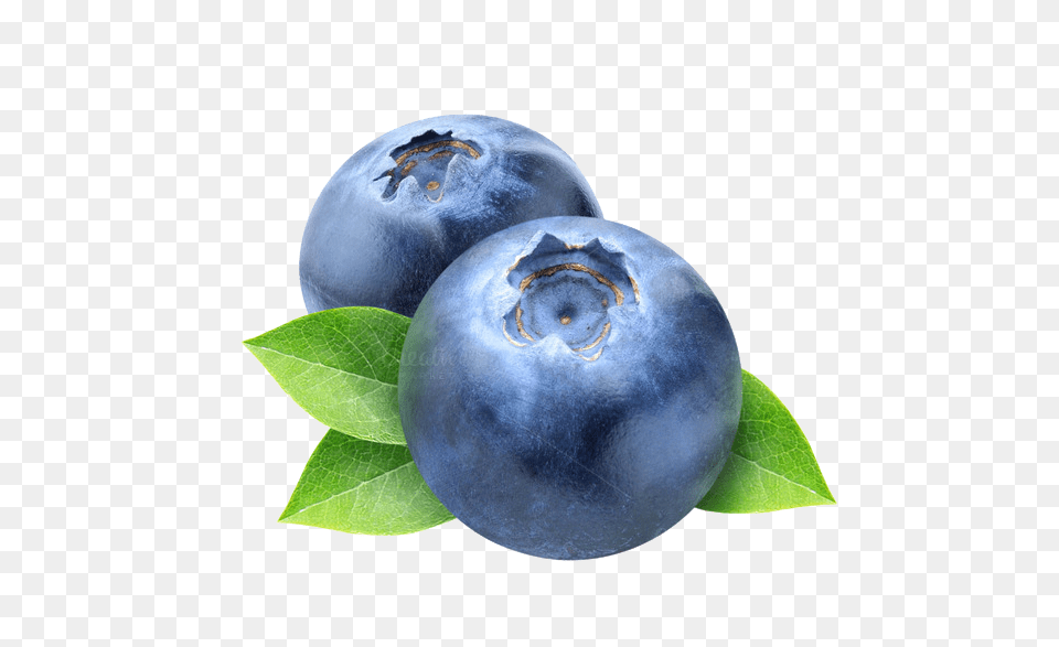 Blueberry Picture Blueberry, Berry, Food, Fruit, Plant Free Transparent Png