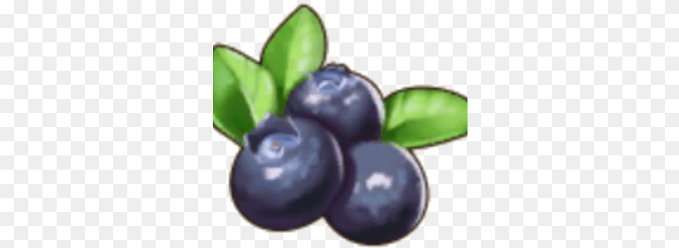 Blueberry Pocket Pioneers Wiki Fandom Superfood, Berry, Food, Fruit, Plant Png Image