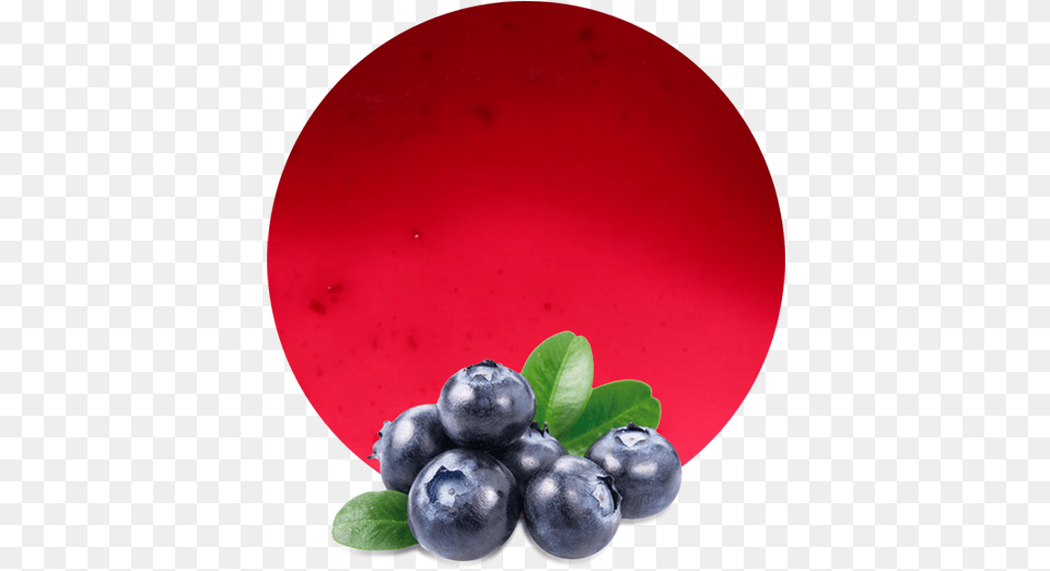 Blueberry Pomace Manufacturer And Supplier Lemonconcentrate Blueberry Free, Berry, Food, Fruit, Plant Png