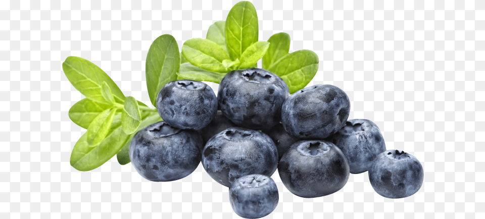 Blueberry Popping Boba, Berry, Food, Fruit, Plant Free Transparent Png