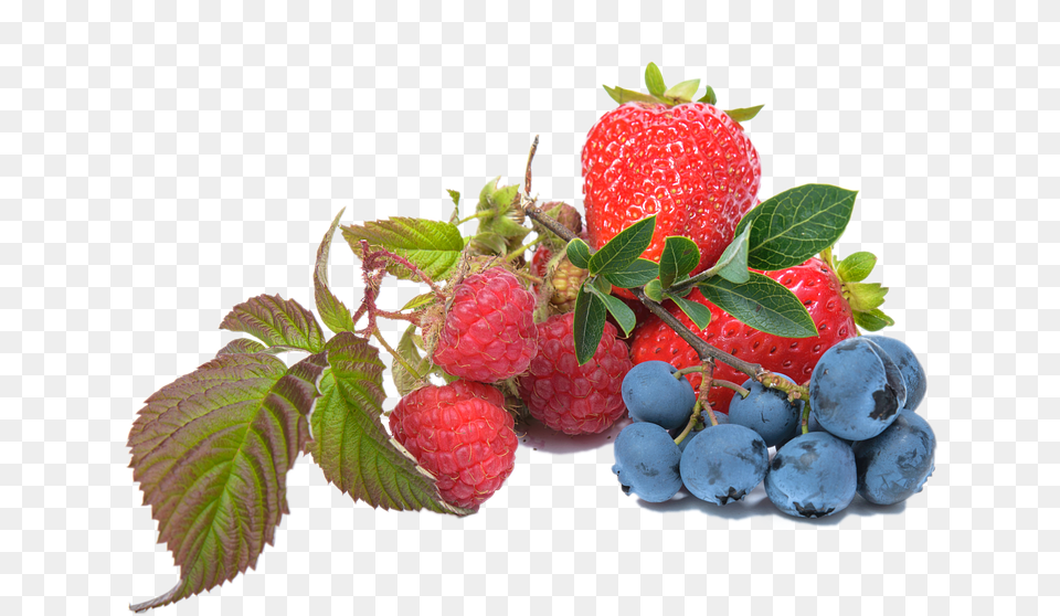 Blueberry Raspberry Strawberry Fruit Blueberry And Strawberry, Berry, Food, Plant, Produce Free Transparent Png