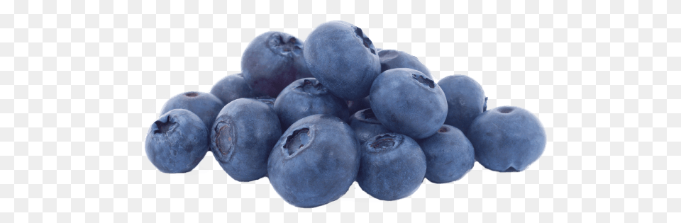 Blueberry Transparent Blueberry, Berry, Food, Fruit, Plant Png