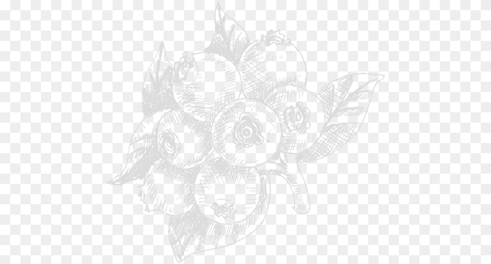 Blueberry U2013 Snh Organic Raw Illustration, Art, Drawing, Floral Design, Graphics Png Image