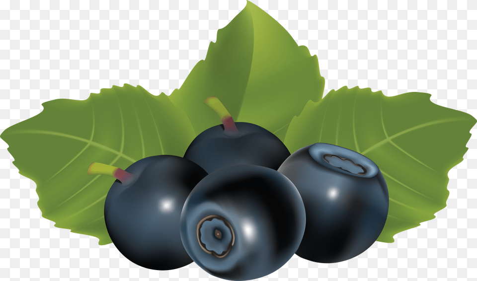Blueberry Vector, Berry, Produce, Food, Fruit Free Png Download