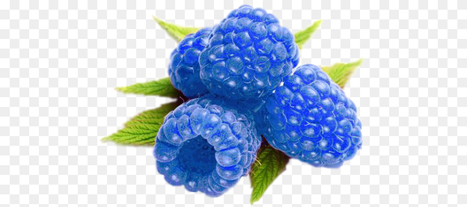 Blueberry Vs Blue Raspberry Blue Raspberry Blue Fruits, Berry, Food, Fruit, Plant Free Transparent Png