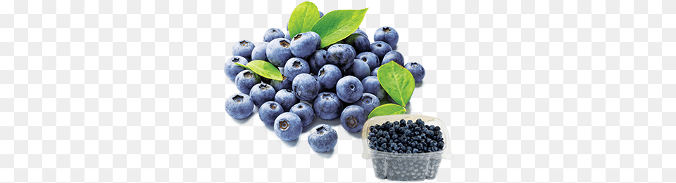 Blueberryfest 2020 Longou0027s Blueberry 125g, Berry, Food, Fruit, Plant Png