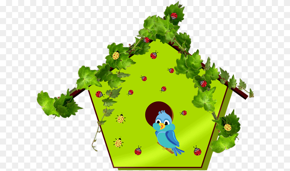 Bluebird Bird Birdhouse Avian House Home Insects Birdhouse Clipart, Green, Plant, Outdoors, Animal Png