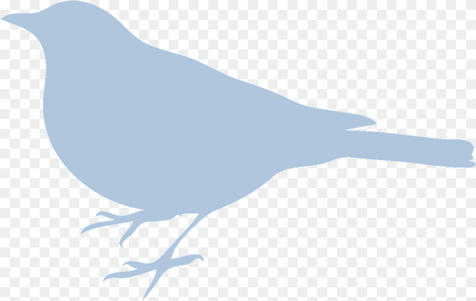 Bluebird Blue Bird Bird Silhouette Clip Art, Animal, Blackbird, Fish, Sea Life Free Png Download