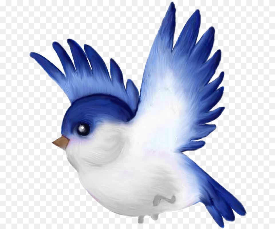 Bluebird Clip Art Download Full Size Clipart Cute Bird Cartoon Transparent, Animal, Jay, Blue Jay Png