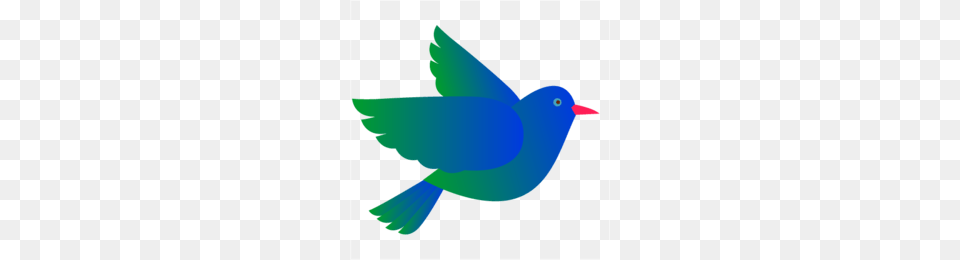 Bluebird Clipart, Animal, Bird, Jay Free Transparent Png