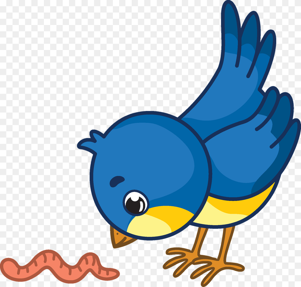 Bluebird Clipart, Animal, Bird, Jay Free Png Download