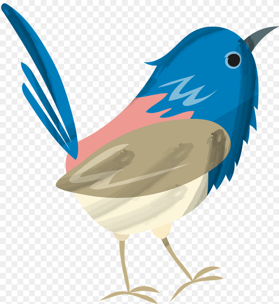 Bluebird Clipart, Animal, Bird, Wren, Fish Free Png