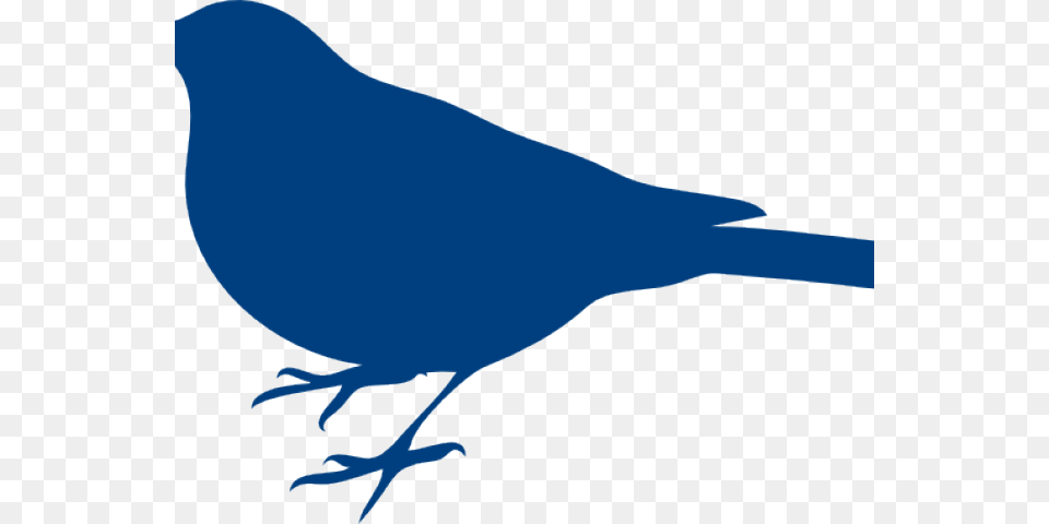 Bluebird Clipart 5 Bird Bird Silhouette Clip Art, Animal, Blackbird, Jay, Fish Png
