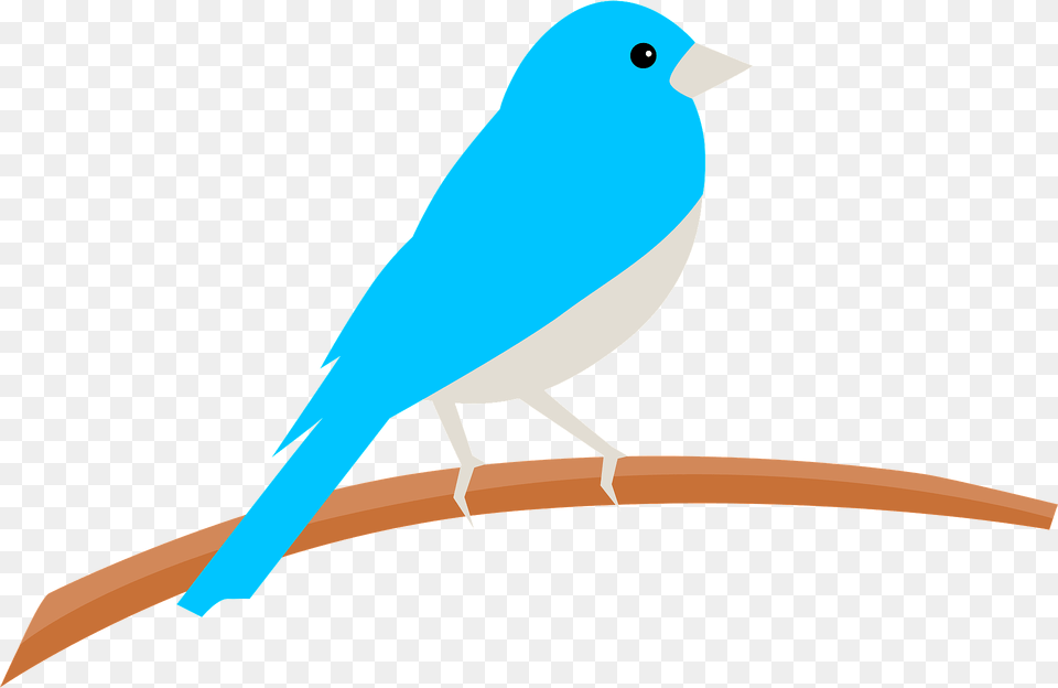 Bluebird Clipart, Animal, Bird, Canary Free Transparent Png