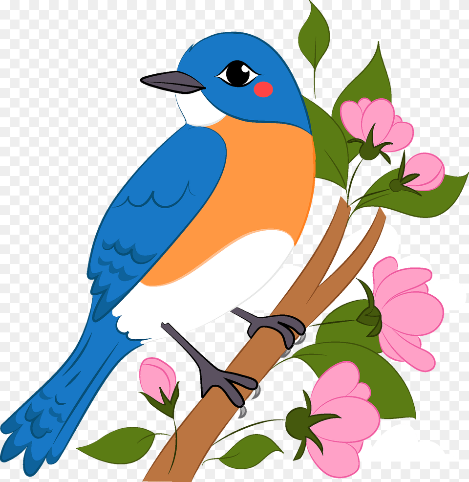 Bluebird Clipart, Animal, Bird, Jay, Blue Jay Png Image