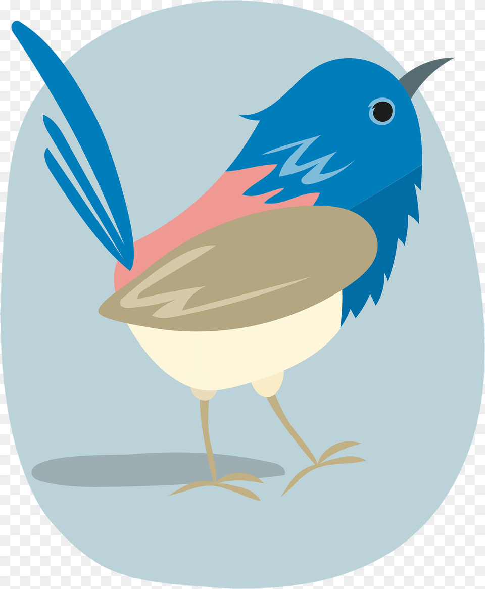 Bluebird Clipart, Animal, Bird, Wren, Fish Png