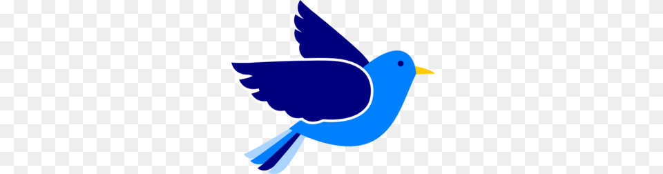 Bluebird Clipart Real Bird, Animal, Jay Free Transparent Png