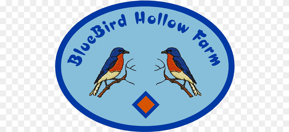 Bluebird Conservation Lafayette Nonprofit Organization Bird, Animal, Logo, Jay Png Image