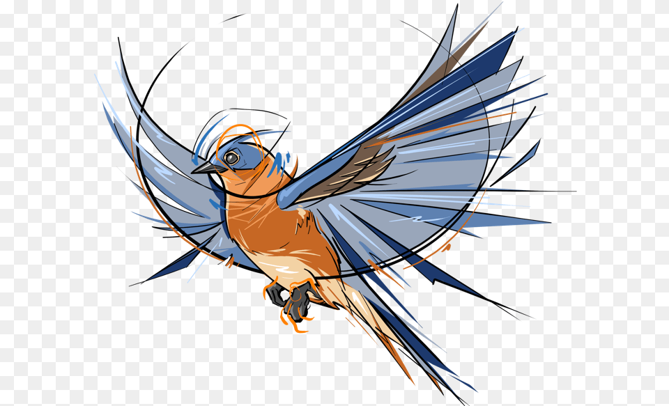 Bluebird Designs Themes Templates And Cool Blue Bird Drawing, Animal, Jay, Adult, Female Free Transparent Png