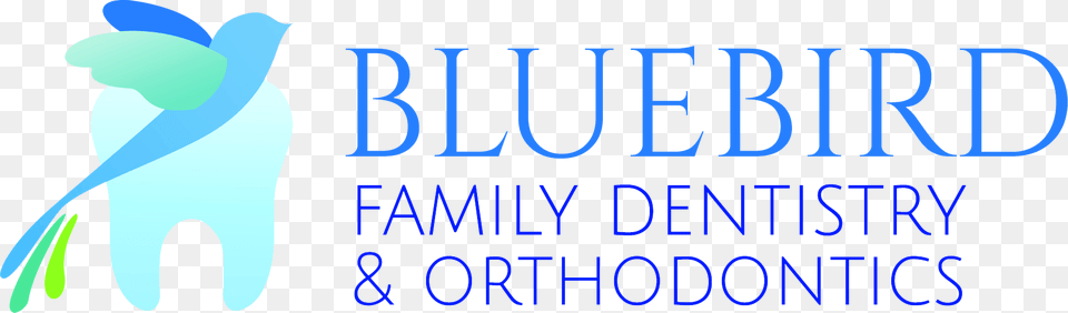 Bluebird Family Dentistry Amp Orthodontics Printing, Ice, Water, Swimming, Sport Free Transparent Png