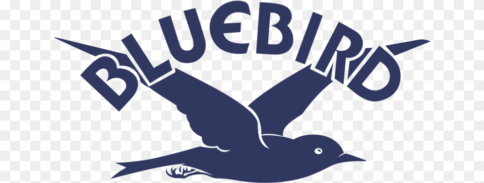 Bluebird Records U2014 Victor European Swallow, Animal, Bird, Seagull, Waterfowl Png