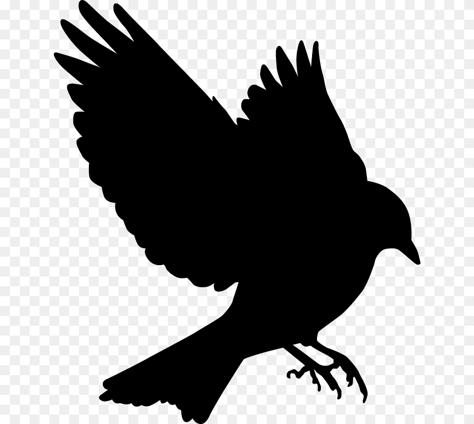 Bluebird Silhouette At Getdrawings Blue Bird Silhouette Flying, Animal, Blackbird, Person Free Transparent Png
