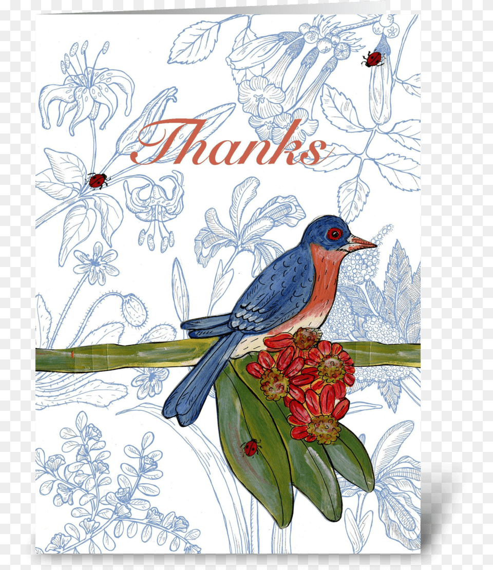 Bluebird Thank You Greeting Card Eastern Bluebird, Graphics, Art, Pattern, Floral Design Free Png