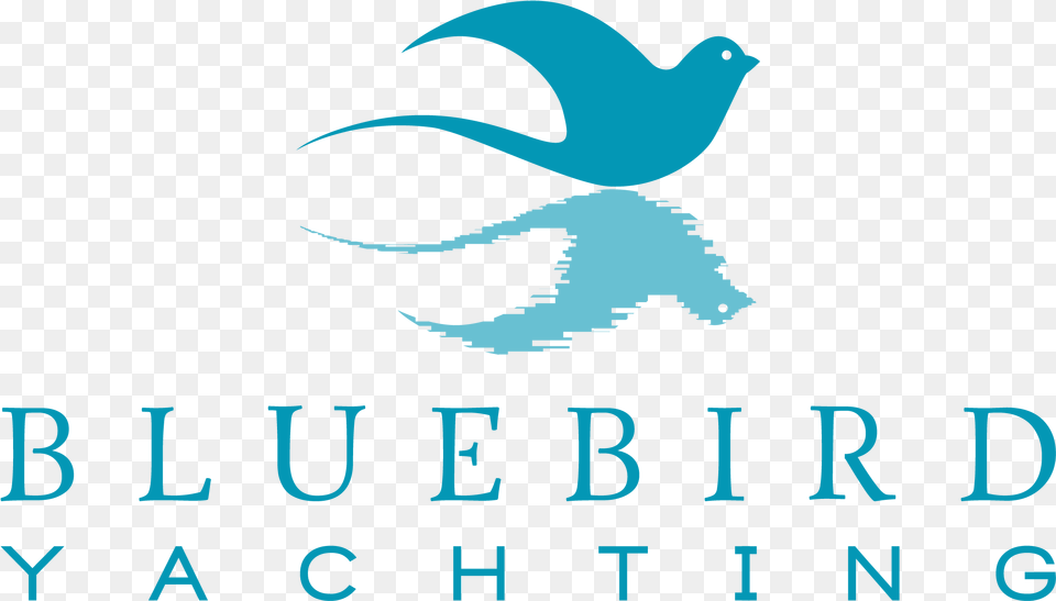Bluebird Yachting Swallow, Animal, Bird, Text, Logo Free Png