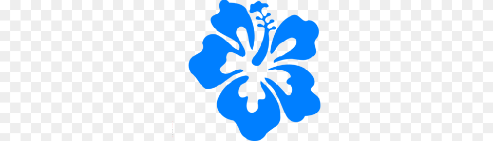 Bluebonnet Clip Art, Flower, Hibiscus, Plant, Person Png Image