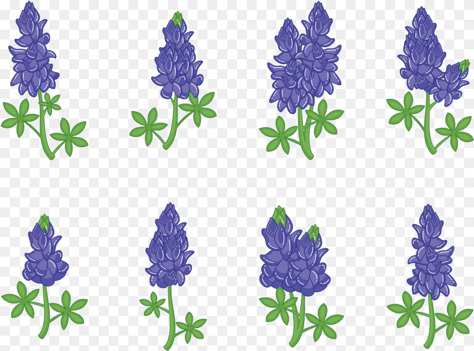 Bluebonnet Flower Vectors Bluebonnet Vector, Pattern, Plant, Purple, Lavender Png Image