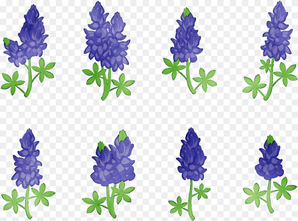 Bluebonnet Purple Lavender Cut Flowers Tree Lupin, Flower, Plant Free Png Download