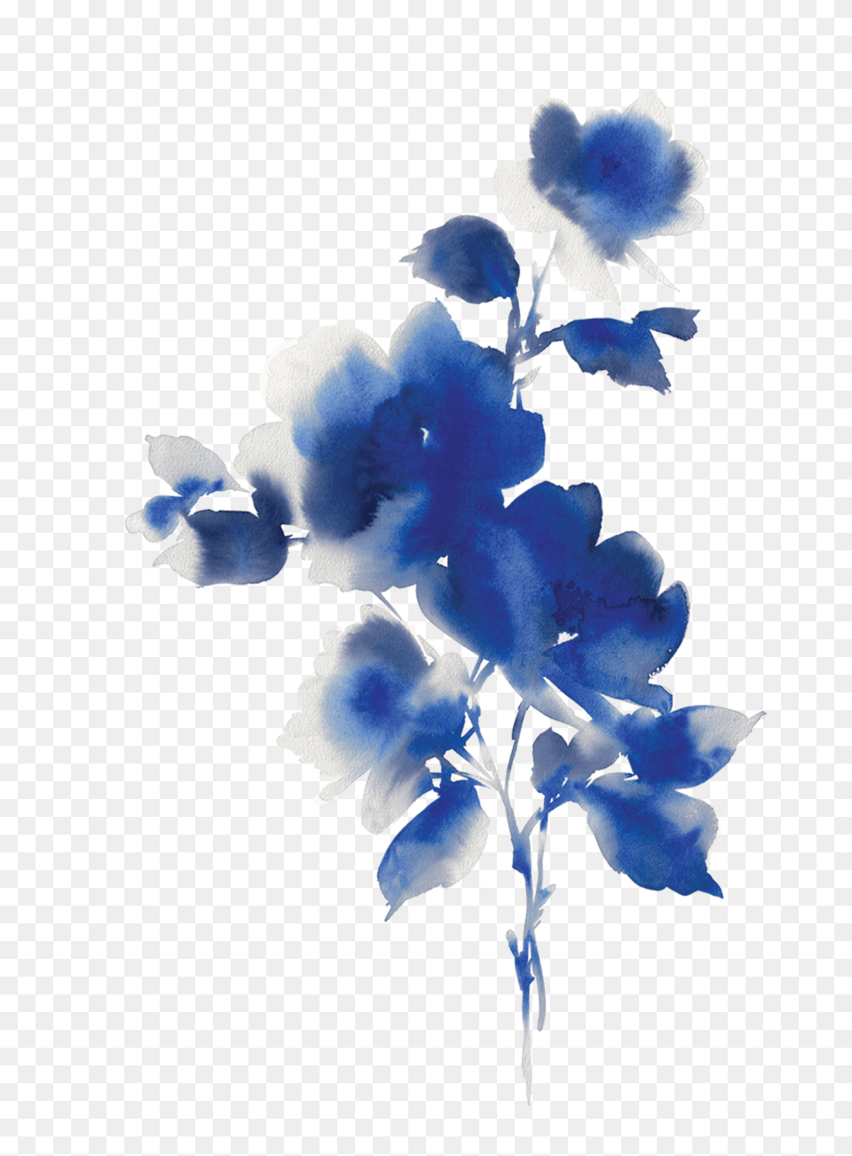 Bluebonnet Watercolor, Leaf, Plant, Flower, Petal Free Transparent Png