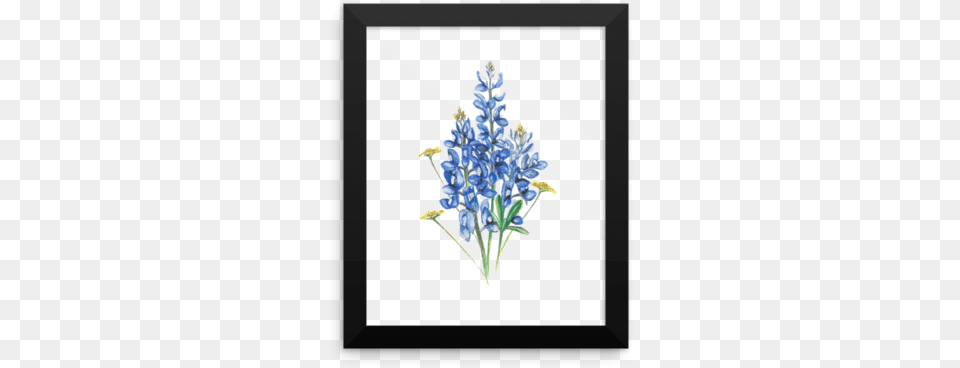 Bluebonnets And Wildflowers Framed Poster Bluebonnet, Flower, Lupin, Plant, Flower Arrangement Png