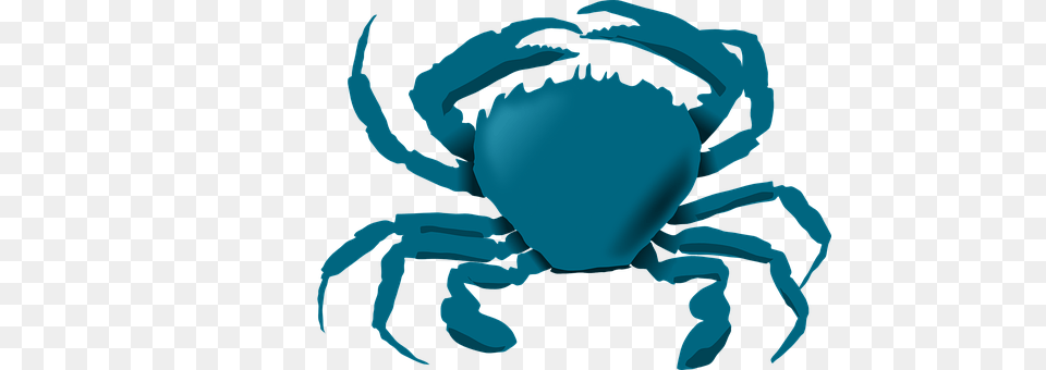 Bluecrab Food, Seafood, Animal, Crab Free Transparent Png