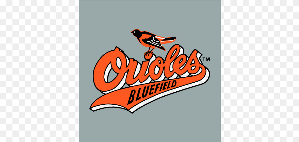 Bluefield Orioles Baltimore Orioles, Animal, Bird, Logo, Dynamite Free Transparent Png