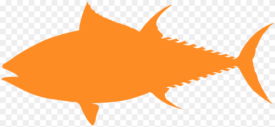 Bluefin Tuna Silhouette, Animal, Fish, Sea Life, Shark Png