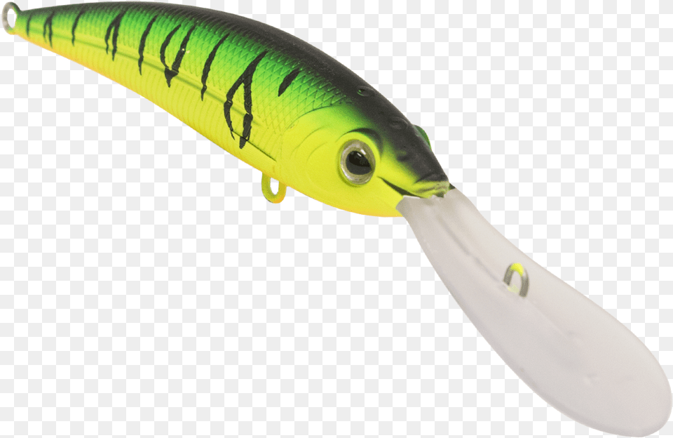 Bluehead, Fishing Lure Png Image