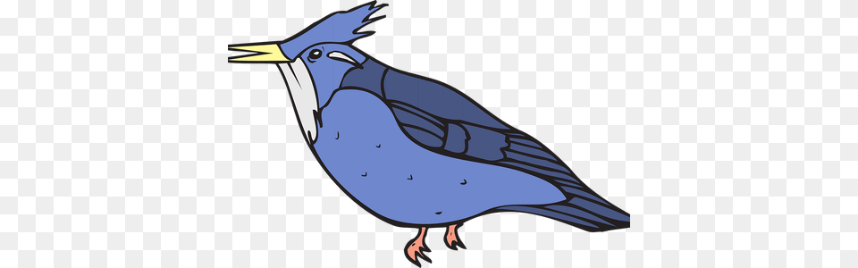 Bluejay Drawing In Flight Clip Art, Animal, Bird, Jay, Blue Jay Free Png Download