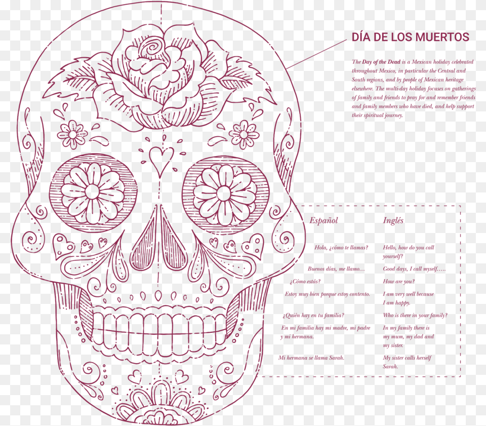Blueprint Information Modern Foreign Language Skull, Pattern, Art, Graphics Free Png Download