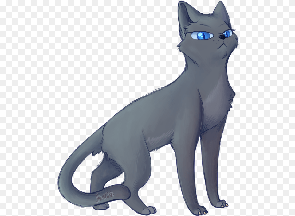 Bluestar 1 Warrior Cats Bluestar, Animal, Cat, Mammal, Pet Free Png