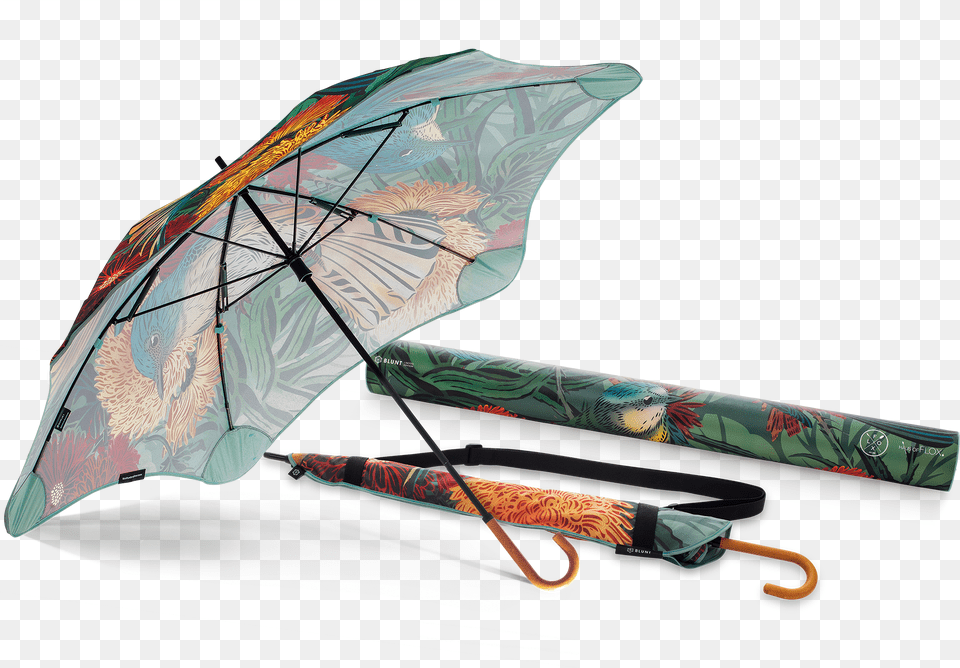 Blunt Flox Lite, Canopy, Umbrella Png Image