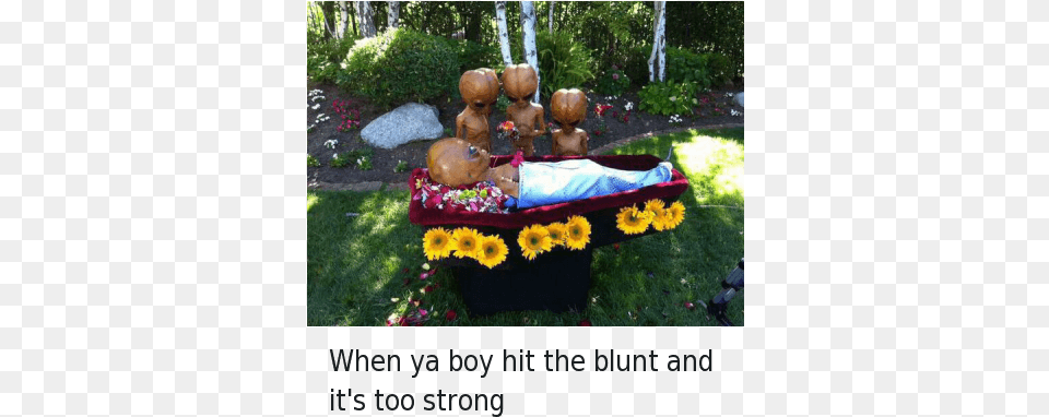 Blunts Homie And Weed You Take Your First Dab, Plant, Grass, Flower, Flower Arrangement Png