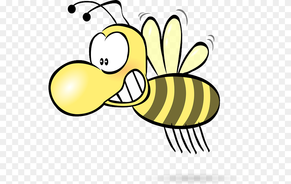 Blur Clipart Insect, Animal, Bee, Honey Bee, Invertebrate Png