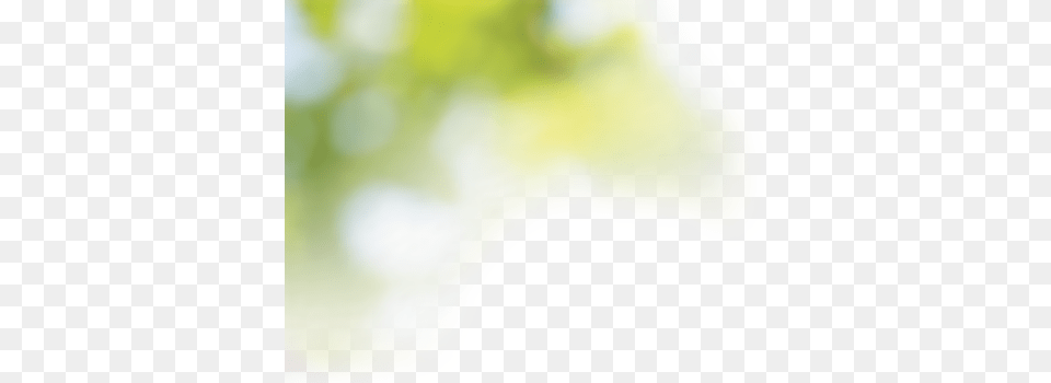 Blurred Tree Food, Green, Leaf, Plant, Potted Plant Free Png Download