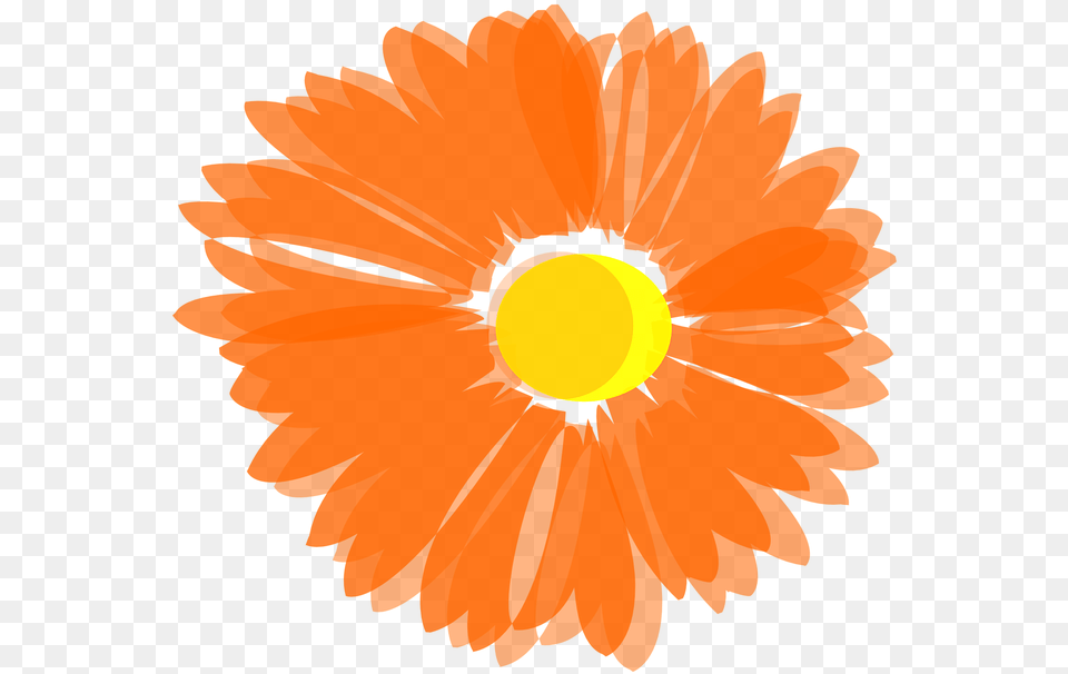 Blurry Orange Flower Svg Clip Arts Orange Flowers Clip Art, Daisy, Petal, Plant, Person Free Png Download