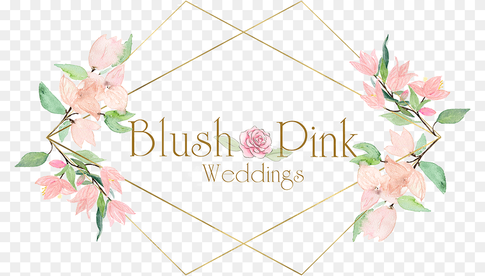 Blush Flower Pink Blush Flowers Transparent, Leaf, Plant, Rose, Envelope Free Png Download