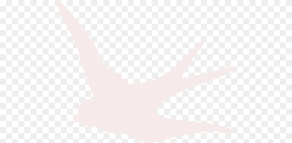 Blush Pink Swallow Clip Art, Animal, Bird, Blade, Dagger Free Transparent Png