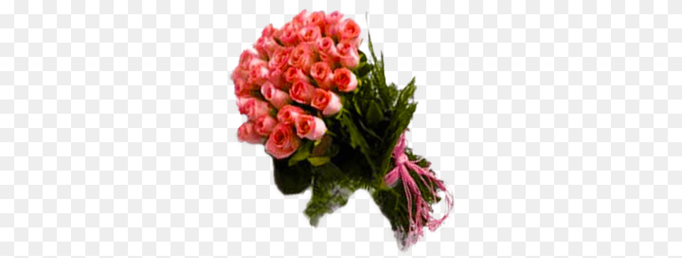 Blushing Pink Roses Bunch Garden Roses, Art, Floral Design, Flower, Flower Arrangement Png