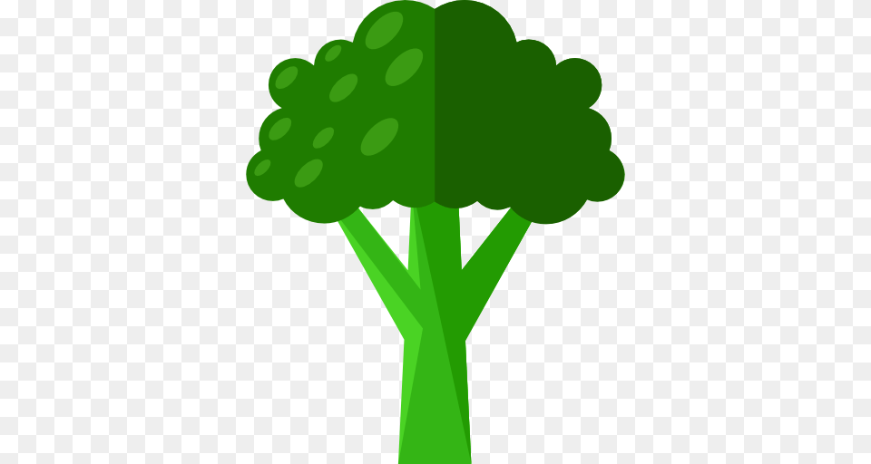 Blw Tree Clipart Clip Art Images, Broccoli, Food, Plant, Produce Png